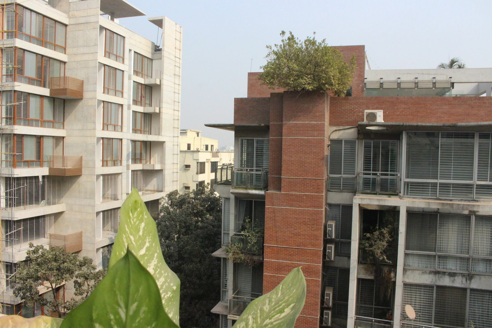 Отель Nascent Gardenia Baridhara Дакка Экстерьер фото